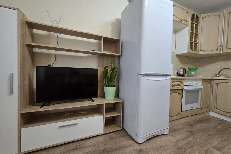 1 комнатная квартира на берегу Оки рядом - Молитовский мост