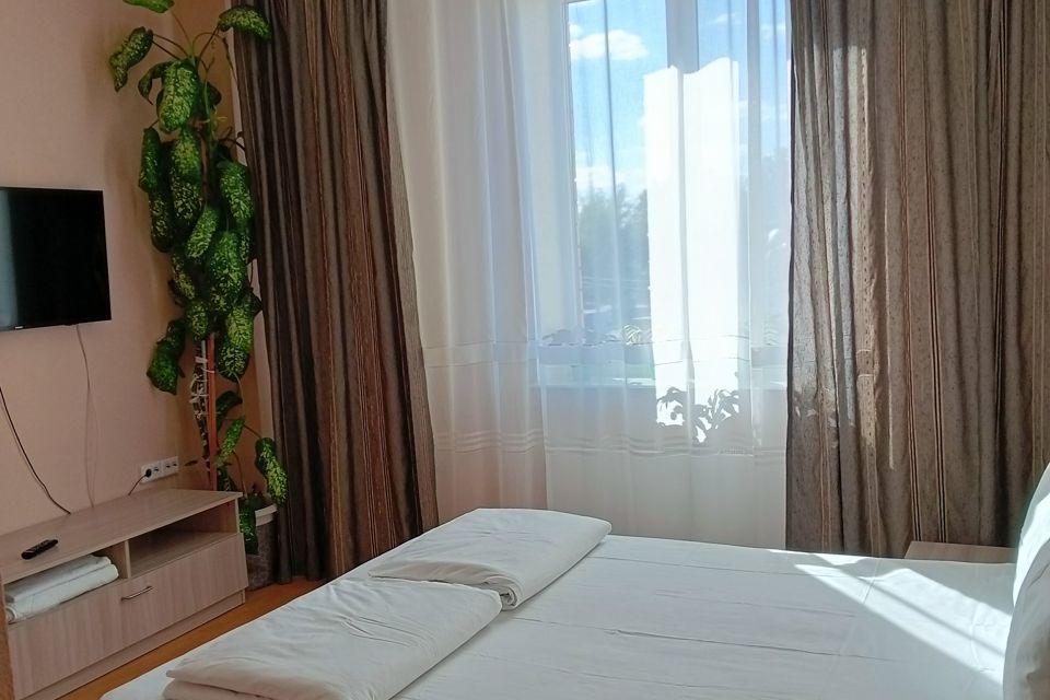 Квартира в центре с видом Покровскую башню и реку Великую