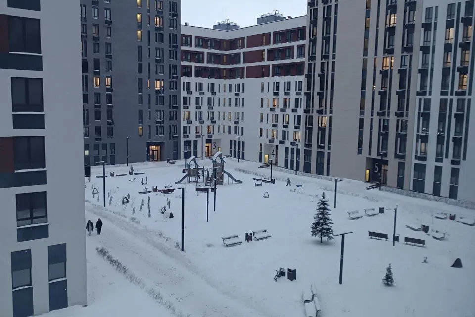 Студия у метро, МКАД, СБВ и огромного леса в Новой Москве