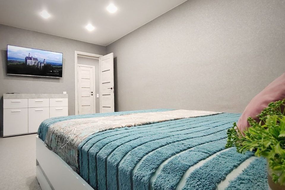 Двухкомнатная квартира РЕНТА27 на Пушкина 51