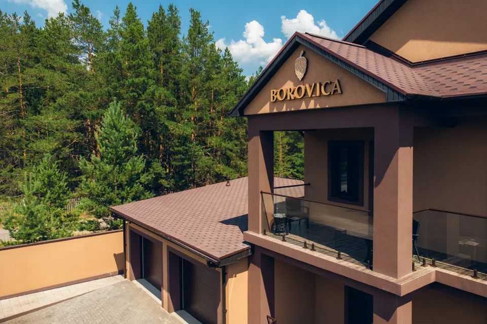 Комплекс Borovica House