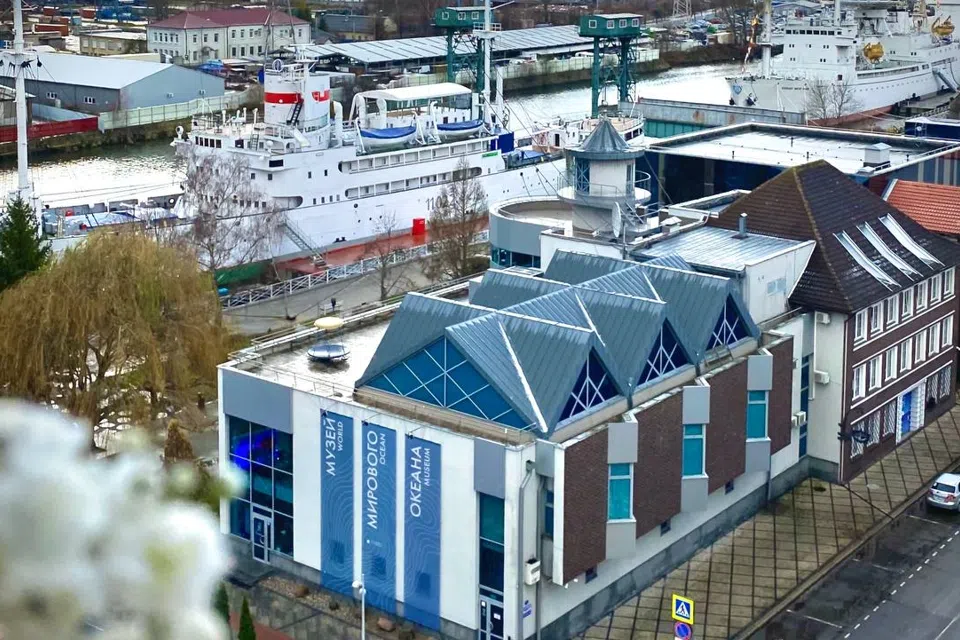 Уютная 2к.квартира с видом на Музей мирового океана