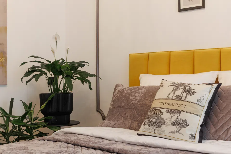 ARCH St. Квартира Франция Баскет-Холл, Экспоград 24на7