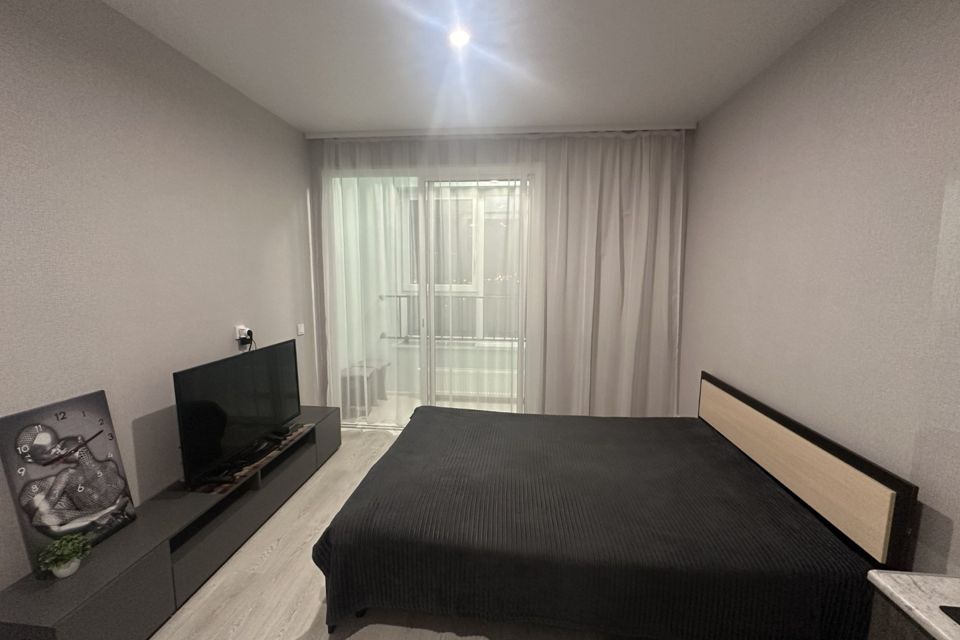 Уютная квартира на улице Пехотинцев, 2Г