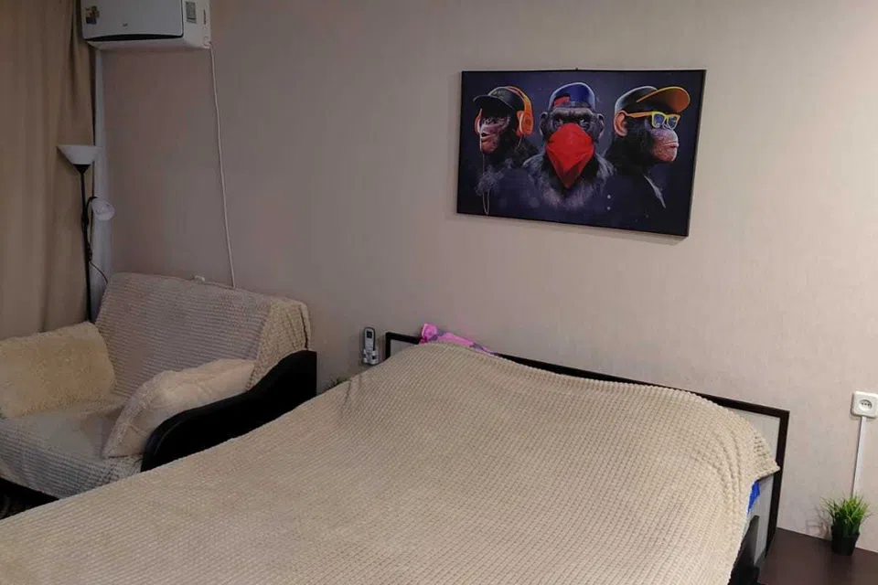 Чапаева Жуковский
