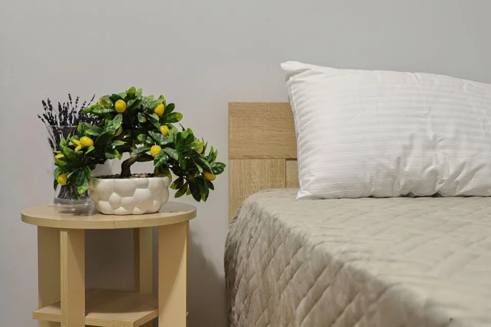 Кв.Сазонова 58м², 6 кроватей, 7м