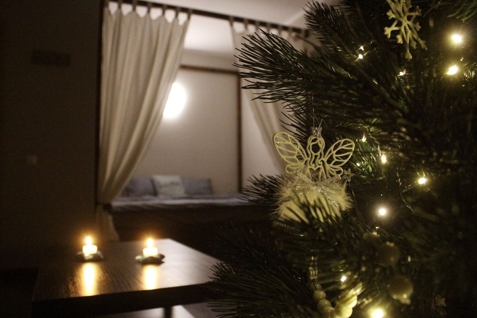 Сон в лунную ночь