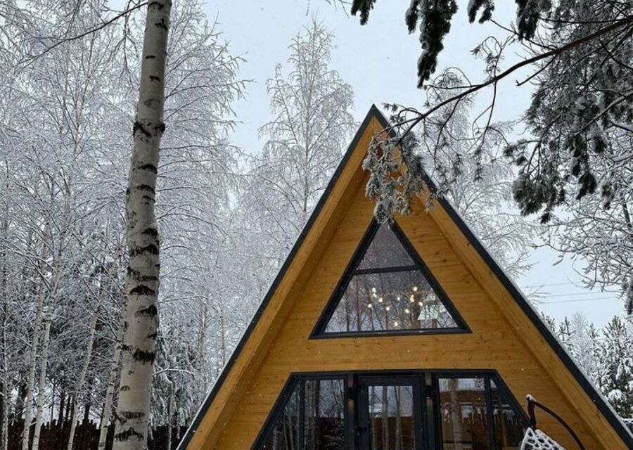 Березовый дом в сосновом лесу