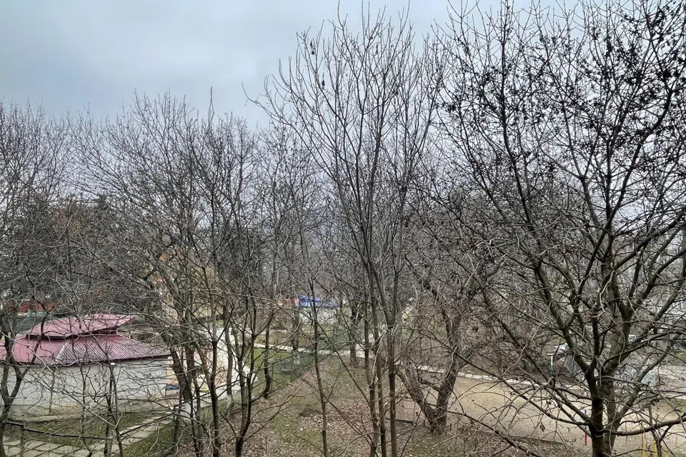 Уютная квартира в центре города.