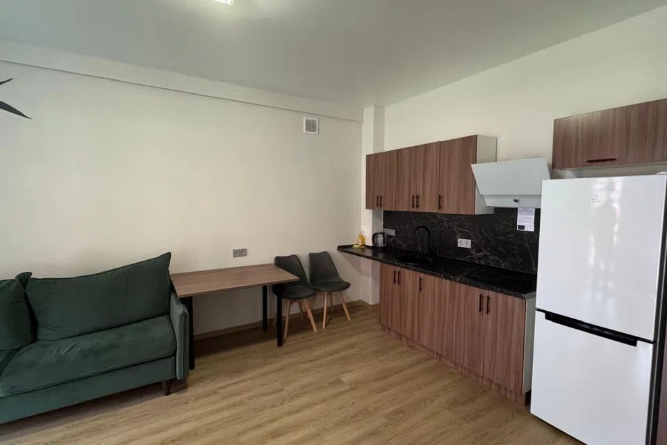 В ЭТНОМИРе предлагается в аренду аппарты 43 кв.м.