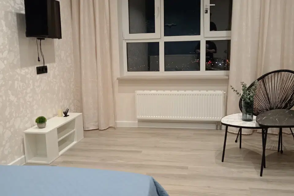 МОРСКАЯ СТУДИЯ С ЧАЙКАМИ