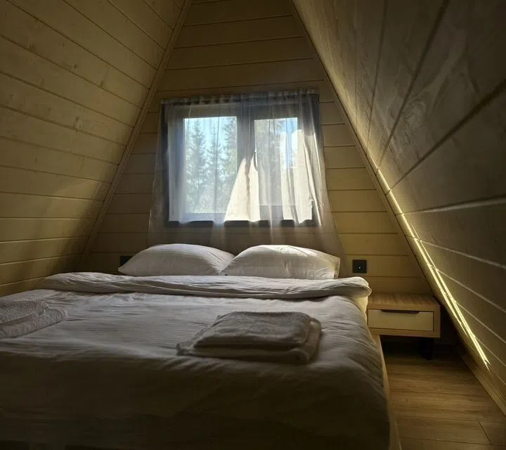 A-frame дом в хвойном лесу