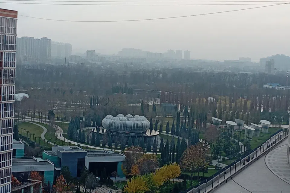 КВАРТИРА С ВИДОМ НА ПАРК