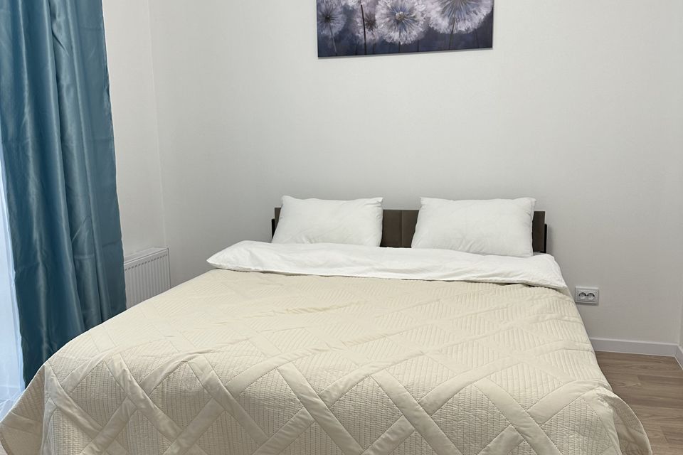 Уютная квартира с видом на Храм-на -Крови в центре города