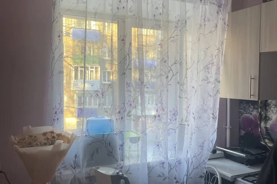 Уютная квартира с котиком 