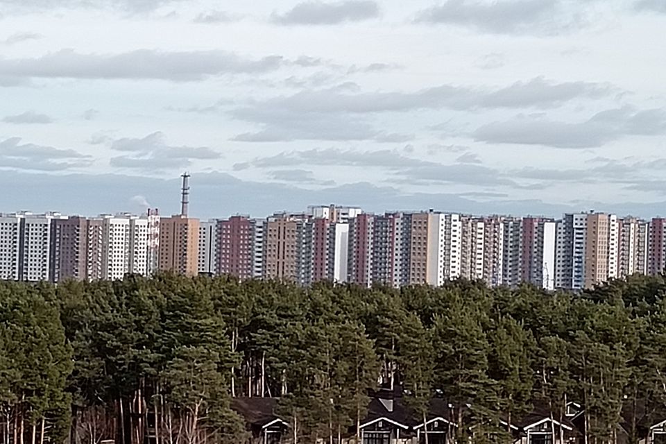 Чистота безопасность комфорт