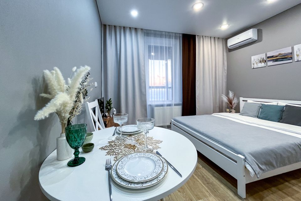 Студия в 5 мин. от Локомотив Арена, НИИТО, Березовая роща