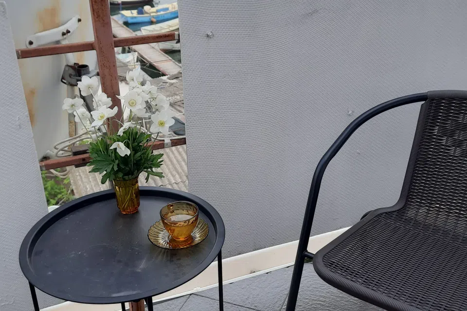 Студия на причале с видом на яхты и чаек