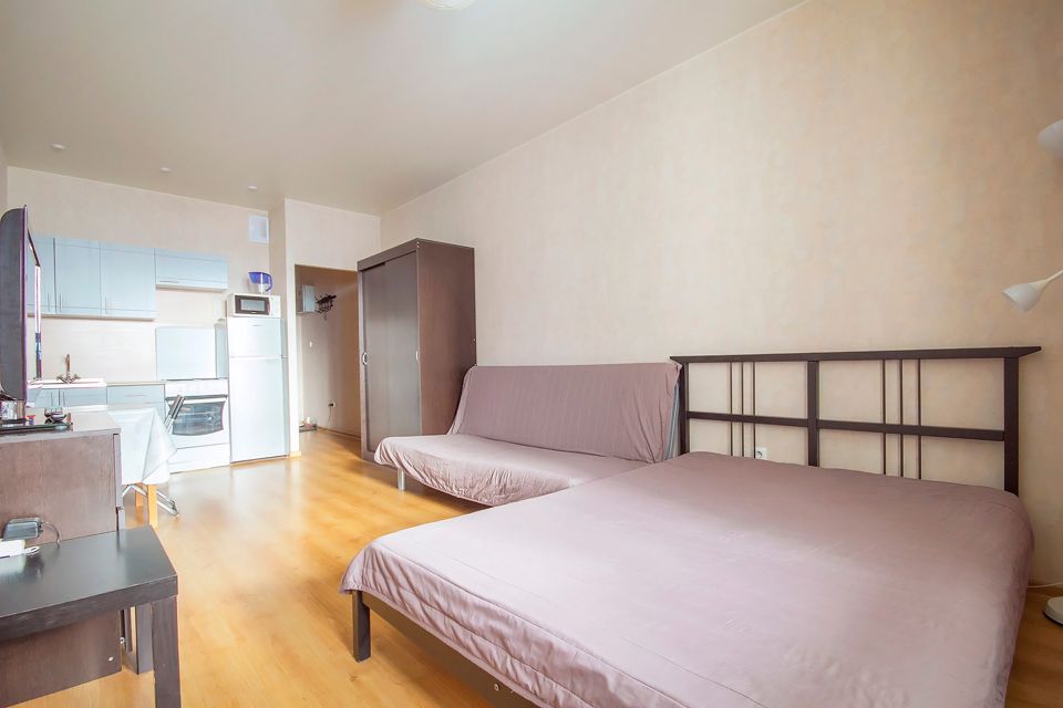 Уютная студия у м. Пионерская и Алмазова