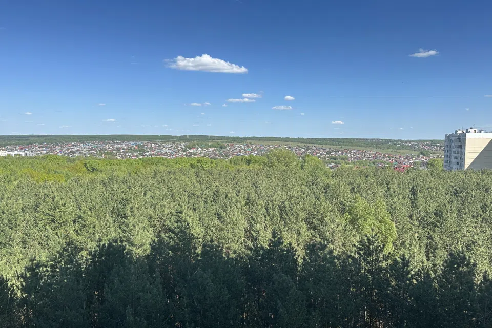 Уютная квартира с прекрасным видом.