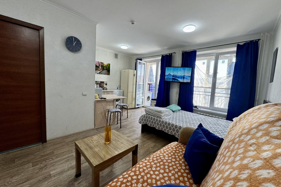 Уютная студия в Кошелев парке