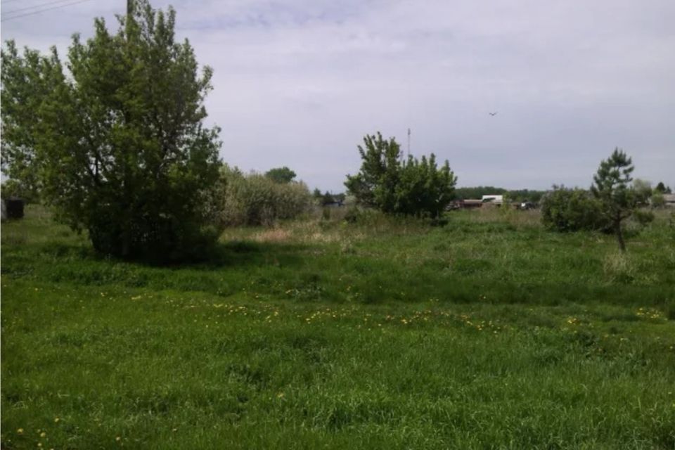 Петрушино ростовская область. Поселок новоприморский ростовская область. Поселок новоприморский ростовская область. Поселок новоприморский ростовская область. Новоприморский.