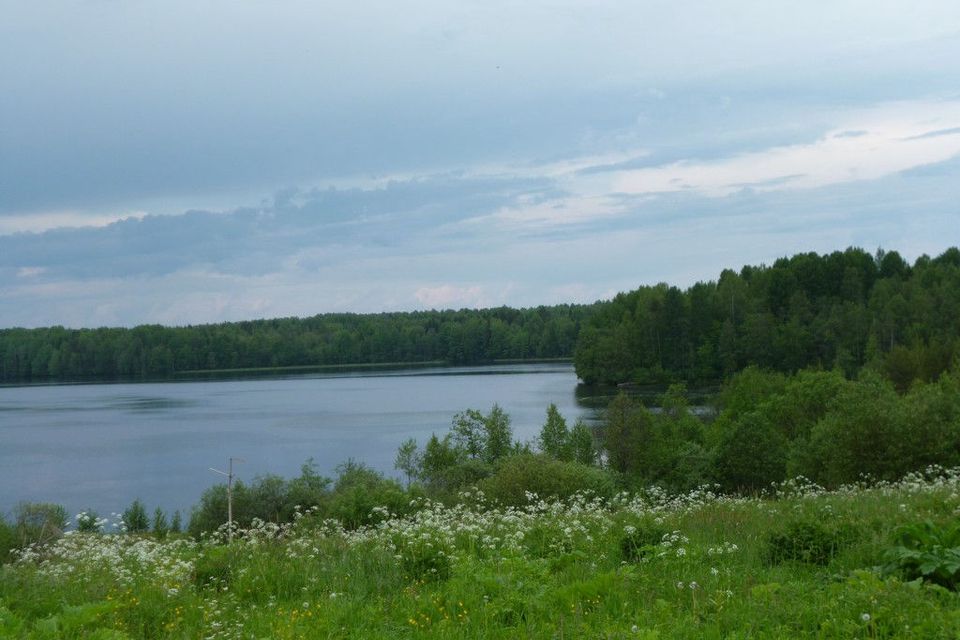 Деревня люговичи лодейнопольский район ленинградская область фото Купить Участок Ижс в деревне Мергино (Ленинградская область) - предложения о про