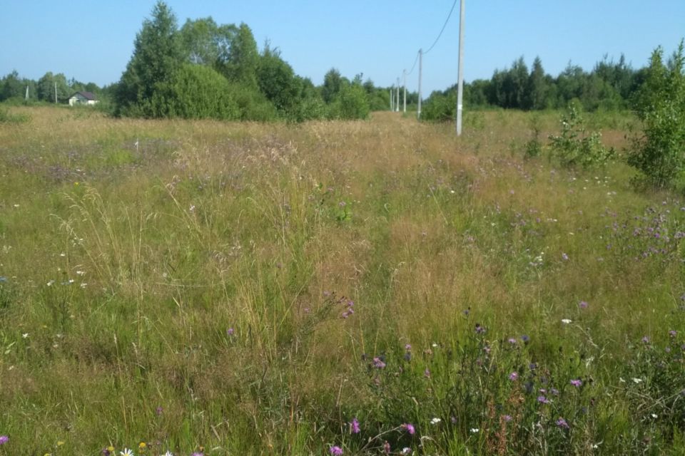 Ижс новгородская область. Ракомское сельское поселение Новгородский район. Новгородский р-н, Ракомское с.п, д. ращеп фото.