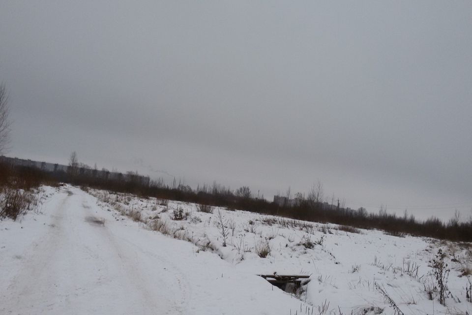 Ижс новгородская область. Деревня Лешино. Деревня Лешино Новгородский район. Бараниха Новгородский район.