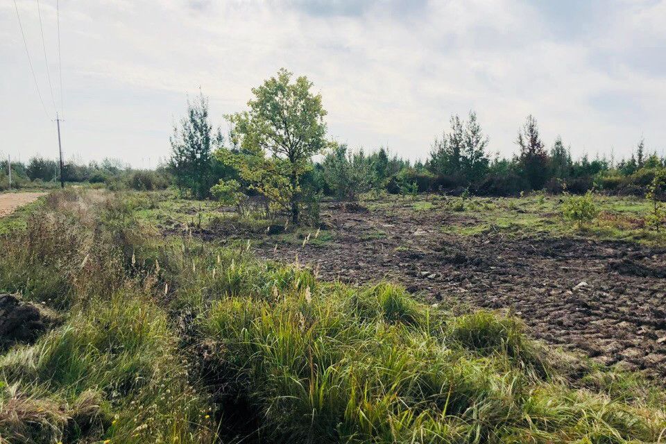 Ижс новгородская область. Деревня Лешино Новгородская область. Новгородский район д Лешино 2в. Лешино (Московская область).