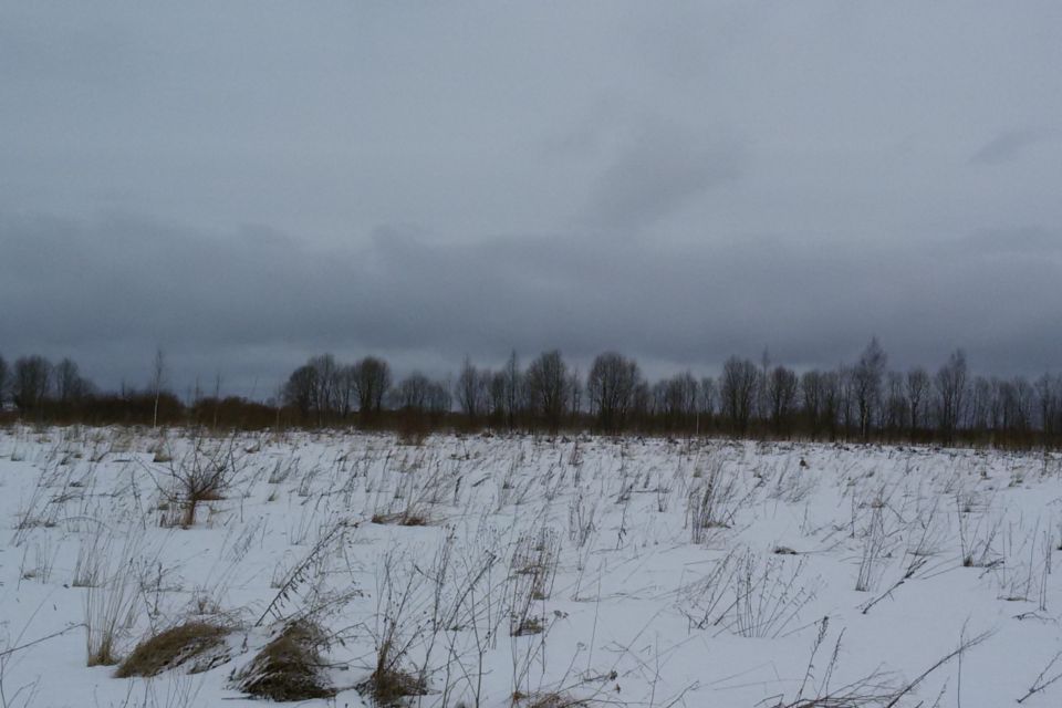 Ермолинское сельское поселение новгородская