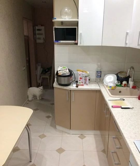 Сдаётся 2-комнатная квартира, 48 м²