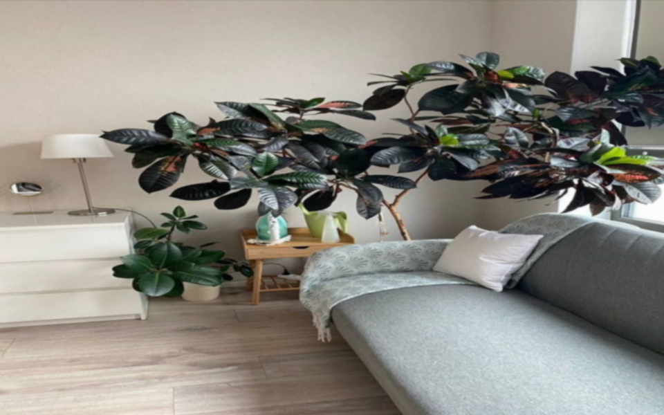 Сдаётся 1-комнатная квартира, 39 м²