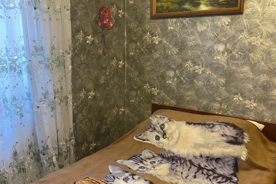 Сдаётся 2-комнатная квартира, 50 м²