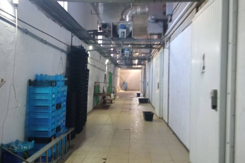 Сдаётся помещение своб. назначения, 900 м²