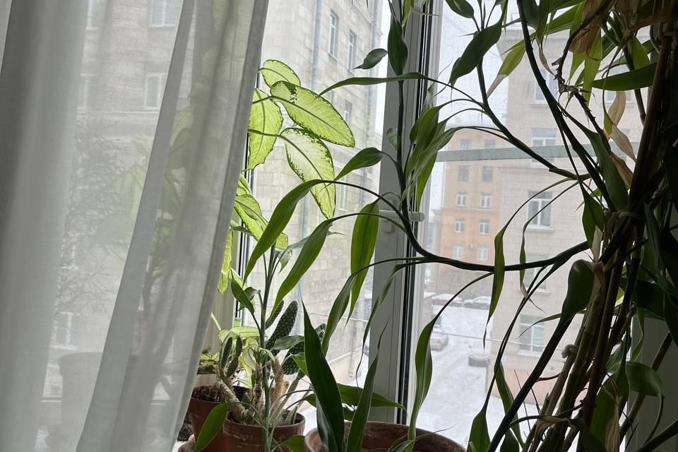 фото отбъекта