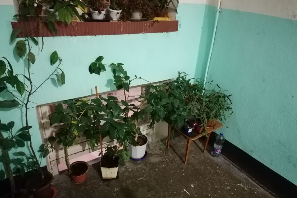Сдаётся 2-комнатная квартира, 43 м²