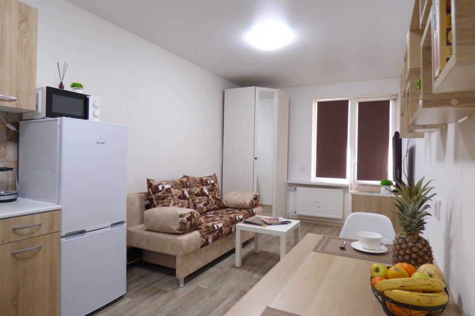 Сдаётся студия, 23.47 м²