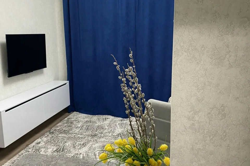 Сдаётся студия, 27 м²