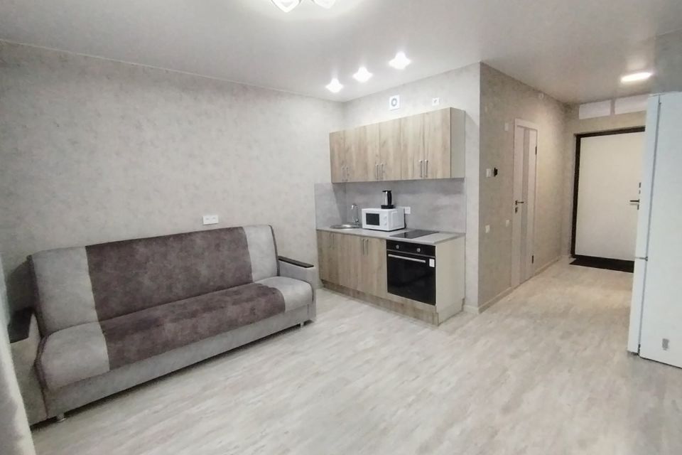 Сдаётся студия, 23.7 м²