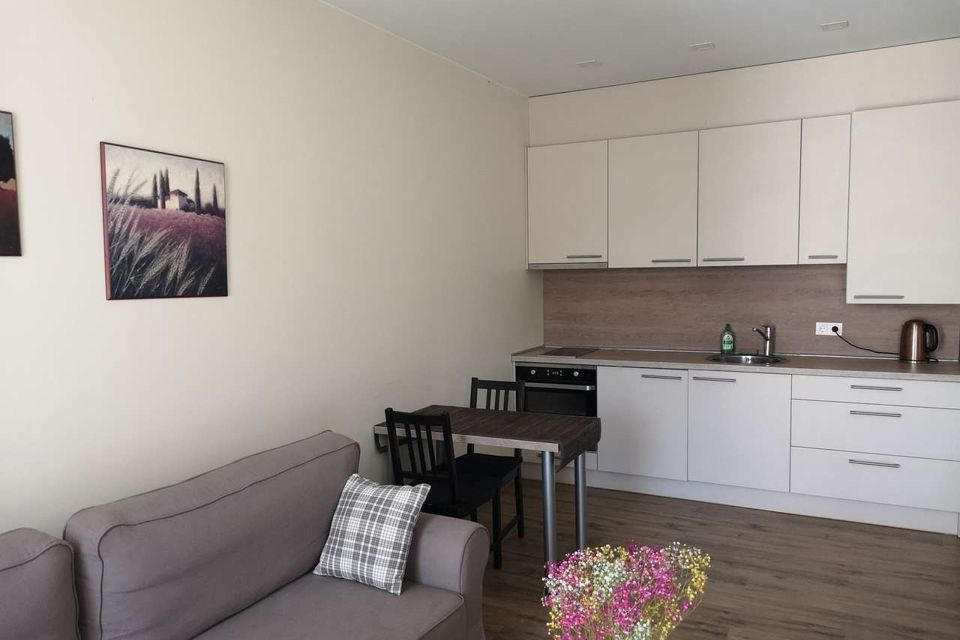 Сдаётся 1-комнатная квартира, 30 м²