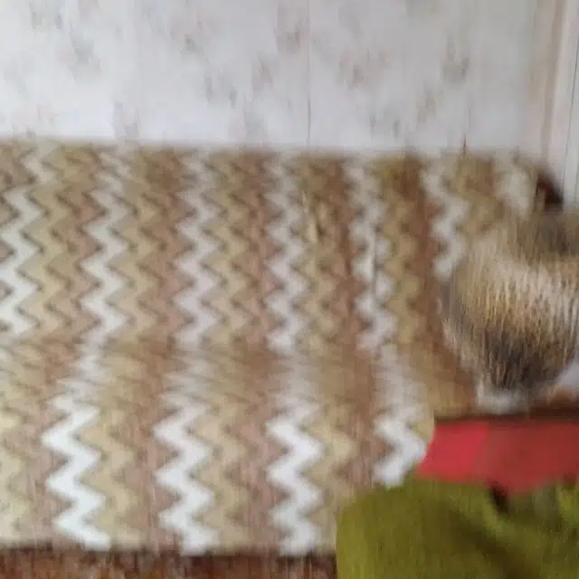 Сдаётся 2-этажный дом, 40 м²