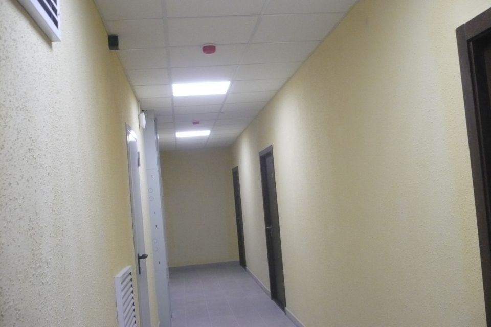 Сдаётся 3-комнатная квартира, 66 м²