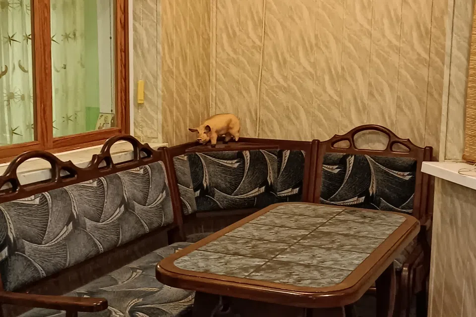 Сдаётся 3-комнатная квартира, 80 м²