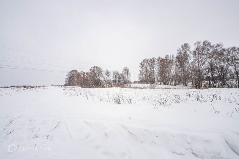 Купить Участок В Сокуре Новосибирской Области