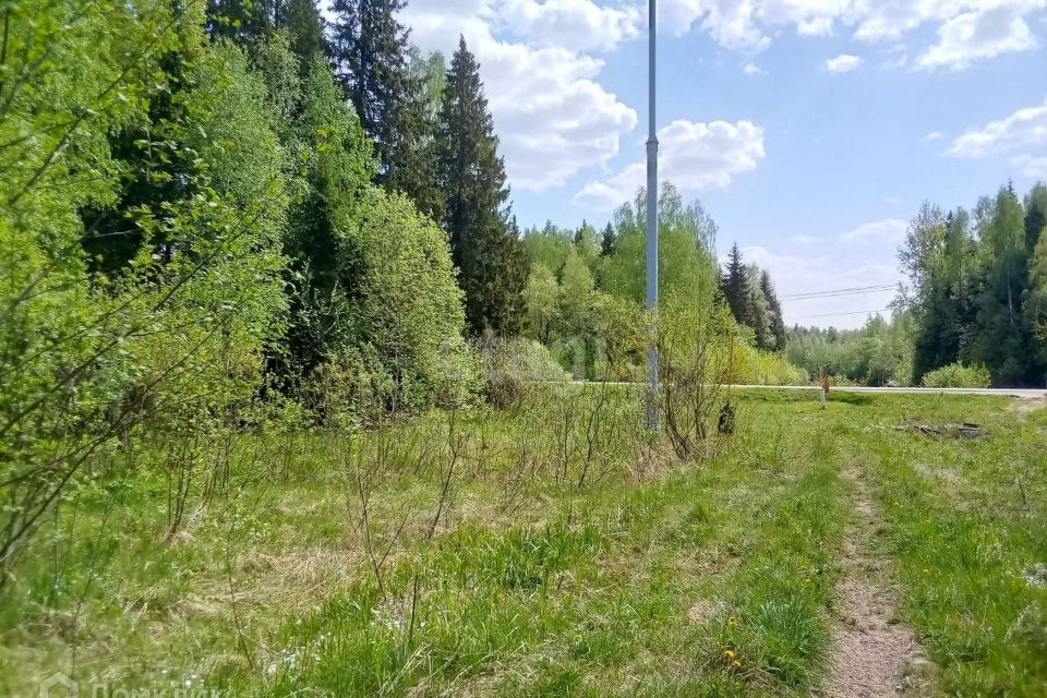 Деревня новинки дмитровский. Деревня новинки московская область. новая боярская деревня дмитровское шоссе.