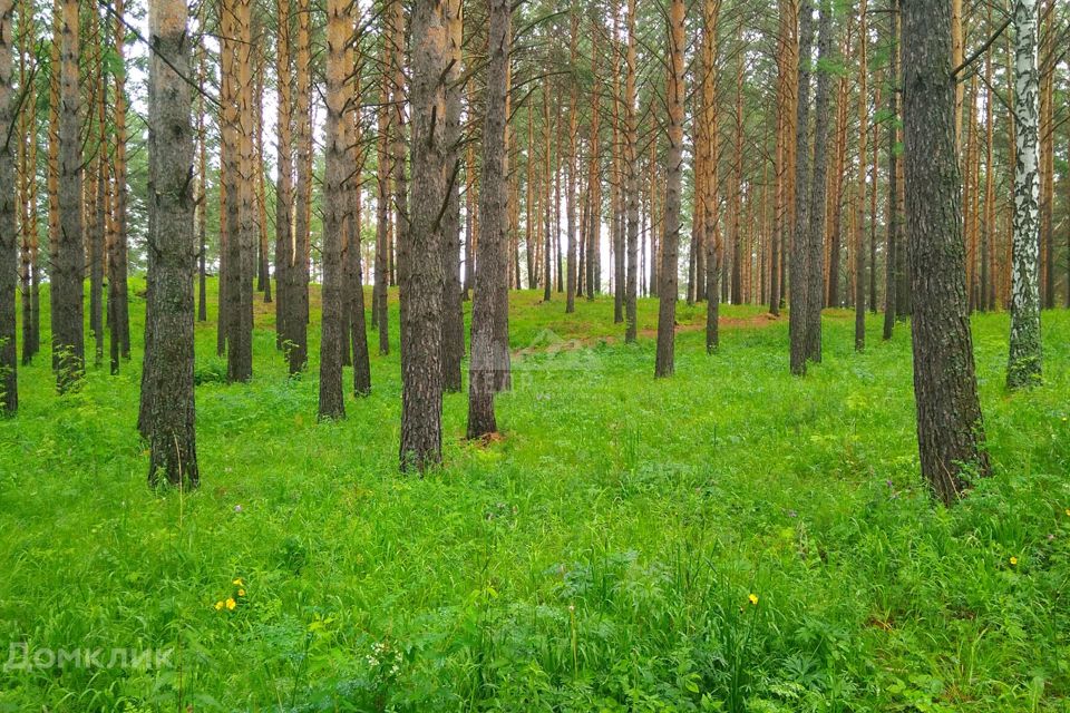 Купить Землю Под Ижс В Красноярска