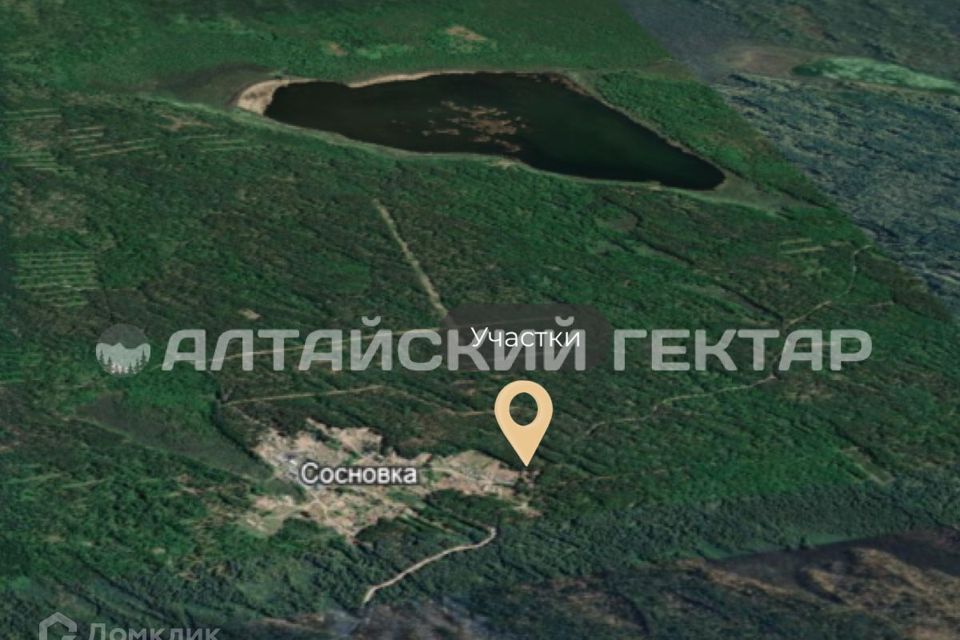 Погода село сосновка алтайский. Погода село сосновка алтайский
