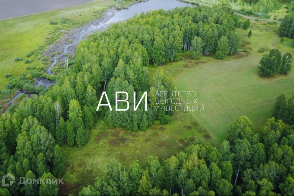 Природно созданный. Рощи Алтайского края. Завьяловский заказник Алтайский край. Алтайский край Локтевский район природа. Памятники природы Алтайского края.