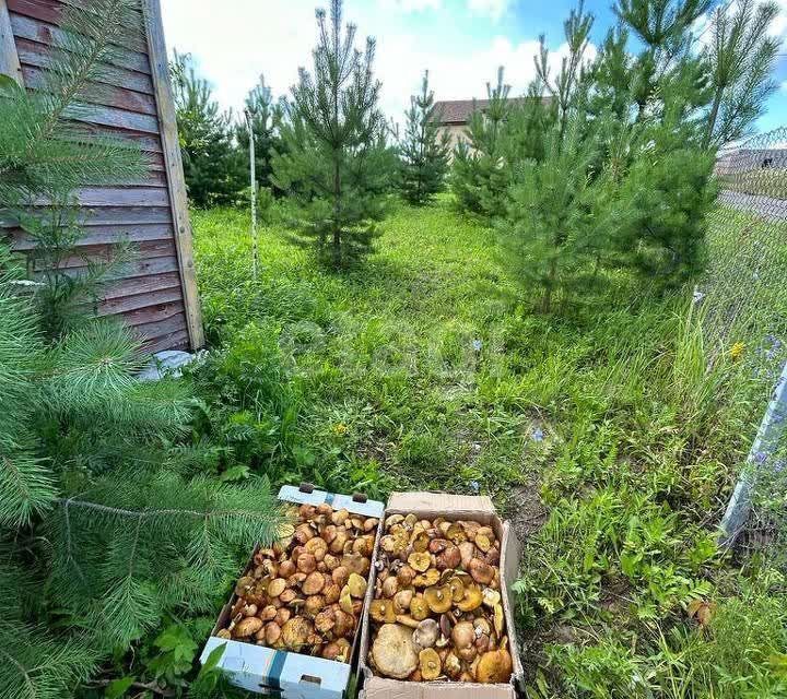 Купить Дом В Ефимьево Богородский Район